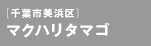 �}�N�n���^�}�S&nbsp;&mdash;&nbsp;��t�s���l��