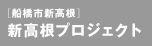 �V�����v���W�F�N�g&nbsp;&mdash;&nbsp;�D���s�V����