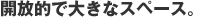 �J���I�ő傫�ȃX�y�[�X�B