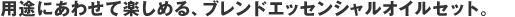 �p�r�ɂ��킹�Ċy���߂�A�u�����h�G�b�Z���V�����I�C���Z�b�g�B