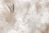 �H�тӂƂ�