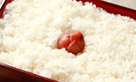外ぐらし ―梅干―