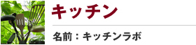 キッチン　名前:キッチンラボ