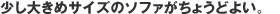 少し大きめサイズのソファがちょうどよい。