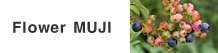 Flower MUJI