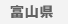 �x�R��