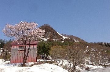 桜山01.jpg