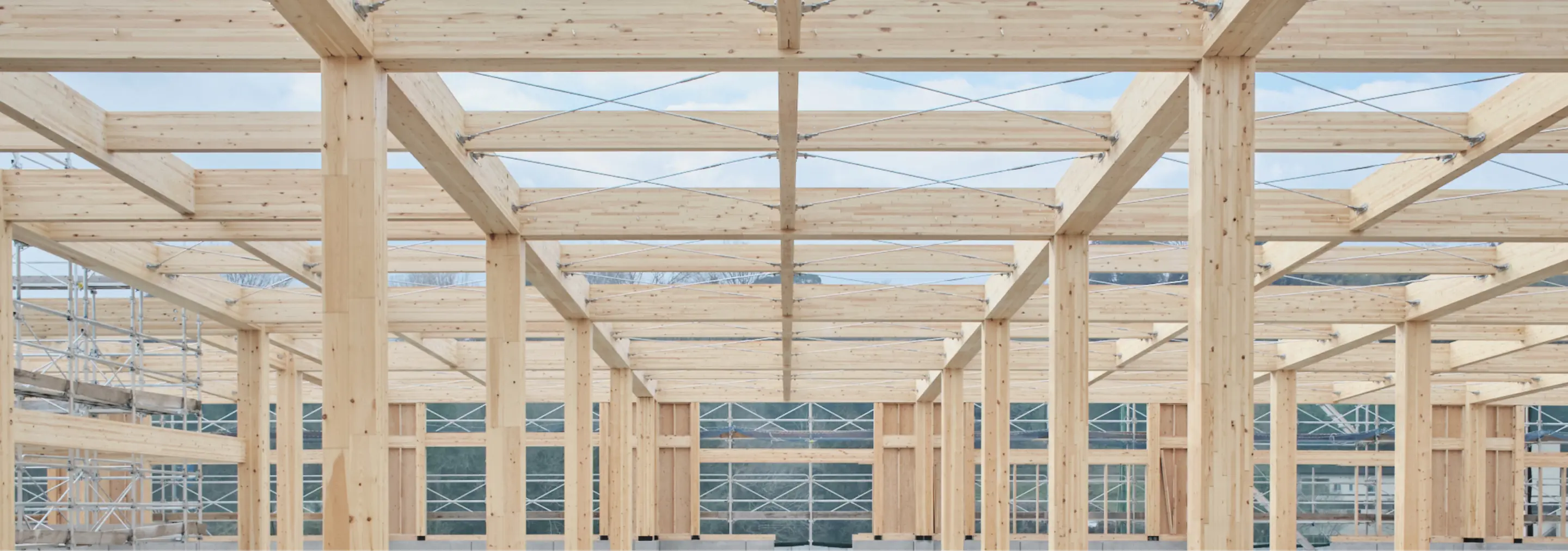 木造建築事業イメージ