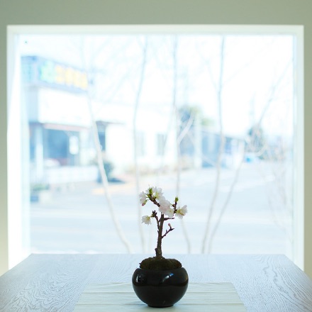 ピクチャー<br>ウィンドウ