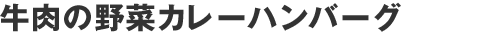 牛肉の野菜カレーハンバーグ