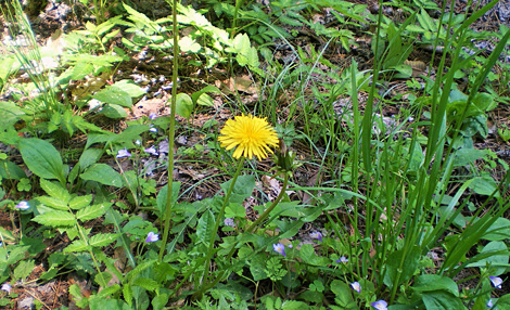 「雑」を見直す。