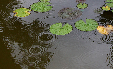 古池 や 蛙 飛び込む 水 の 音 季語