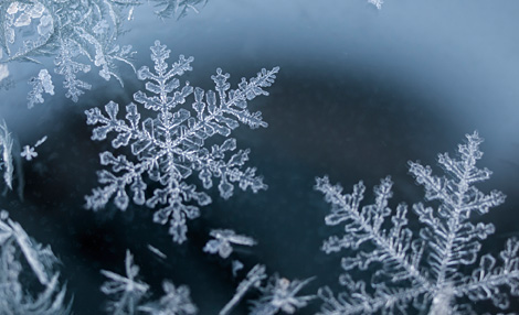 雪の結晶