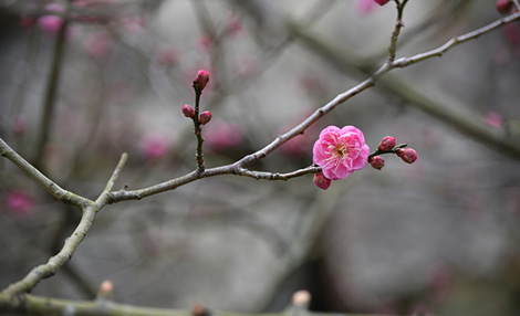 季節を分ける時