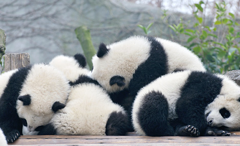 自分なりの眠りを