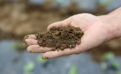 見えざる微生物の世界