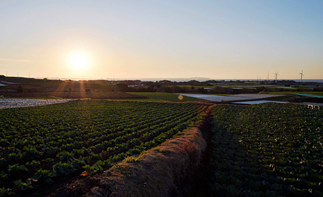 人と食をつなぐ─三浦半島の取り組み