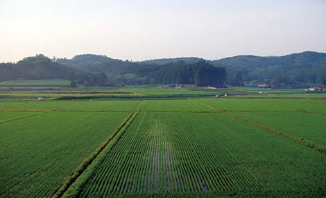 復興のエネルギー