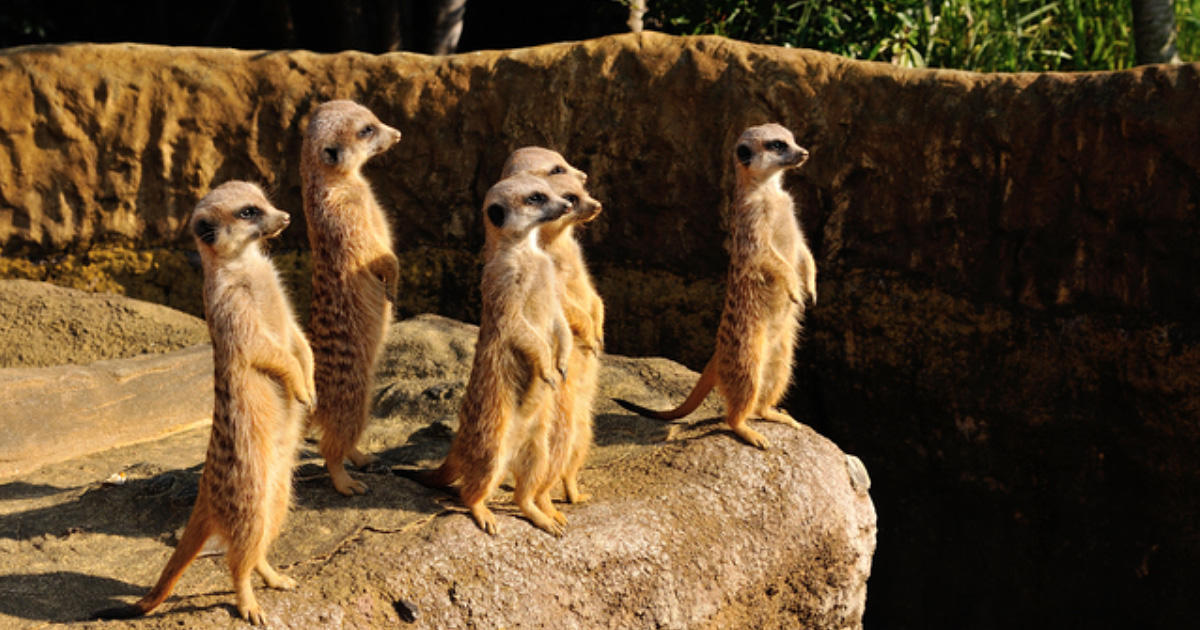 健康のために「立ち上がれ」