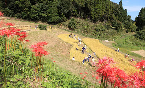 お彼岸に寄せて