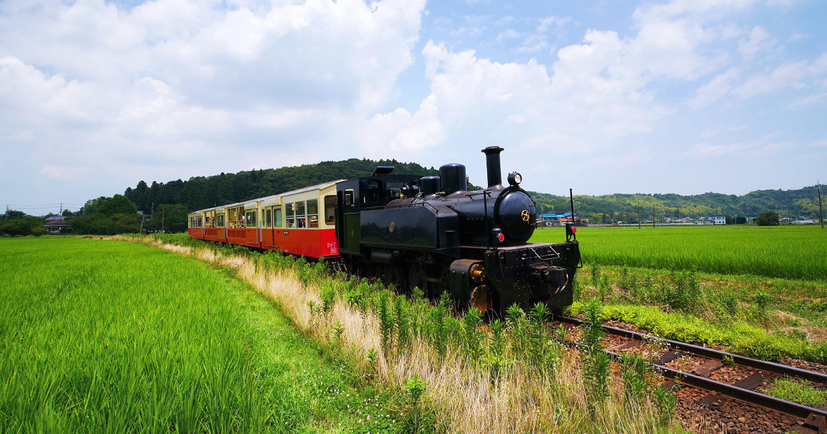 身近な自然と人をつなぐ ─里山トロッコ列車─