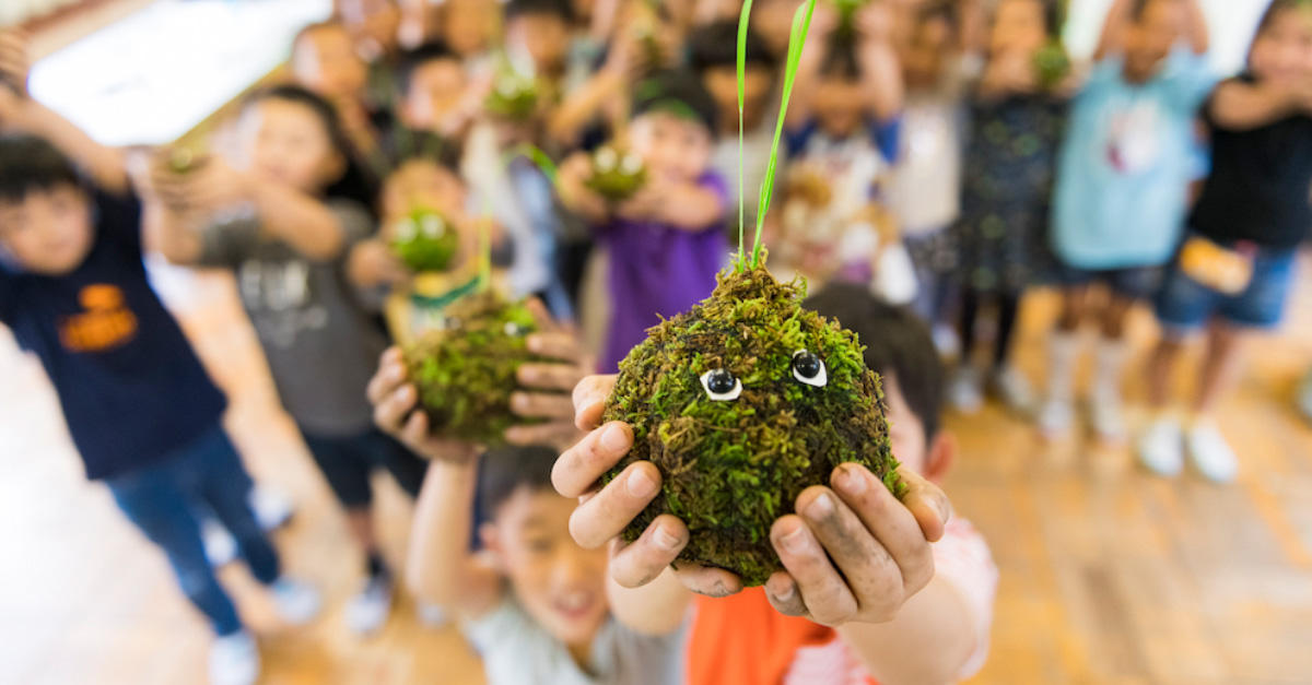 苔玉がつなぐもの
