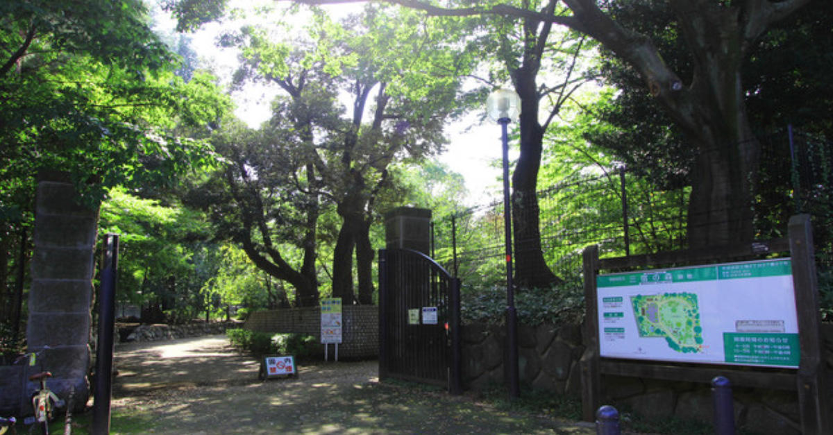 グリーンインフラ