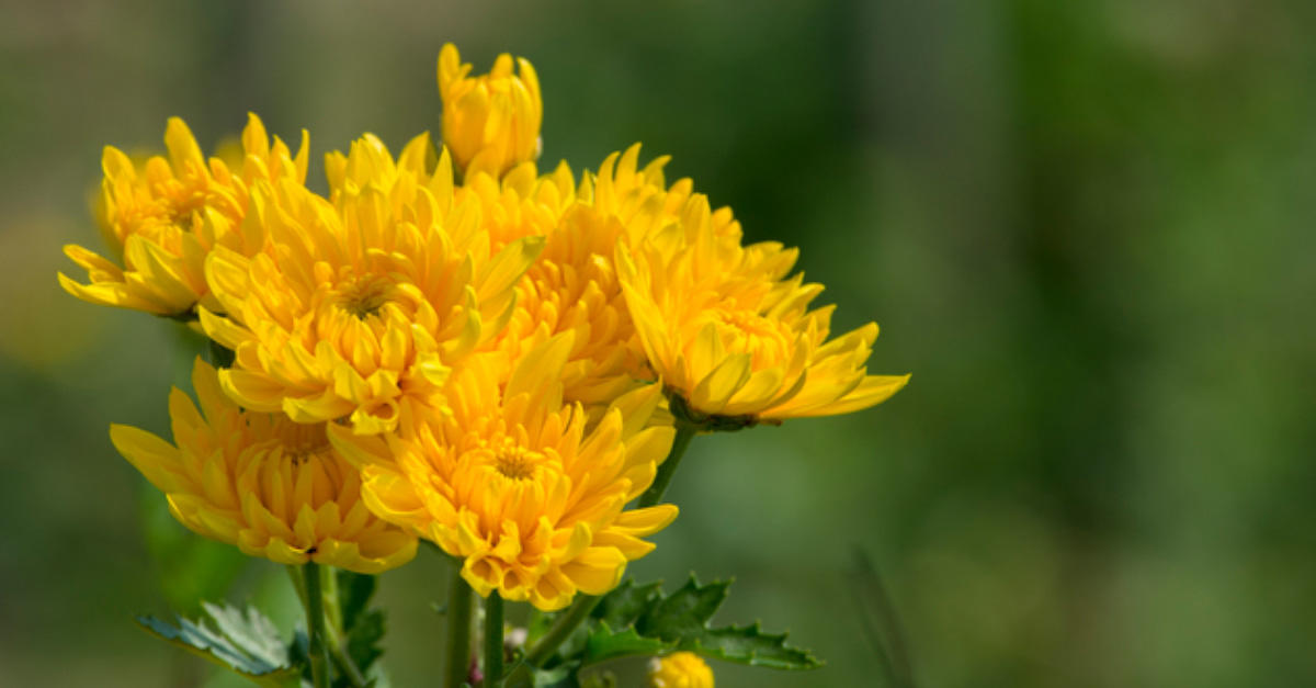 先祖のお墓、どうします?