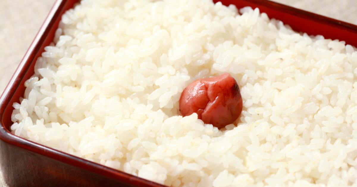 外ぐらし ―梅干―