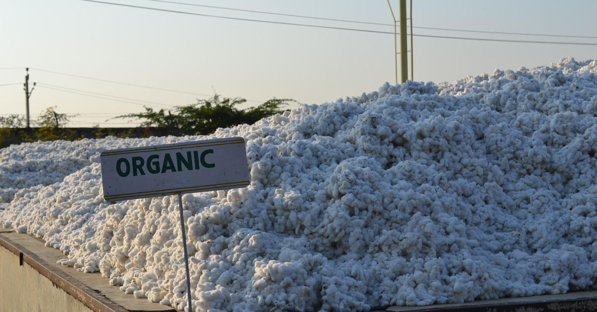 「エシカル」な風