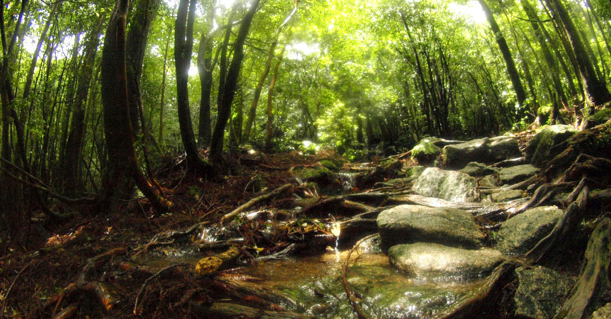 身体で聴く音 ─ハイパーソニック・サウンド─