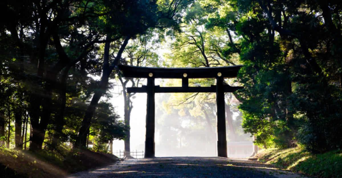 人がつくった大都市の森
