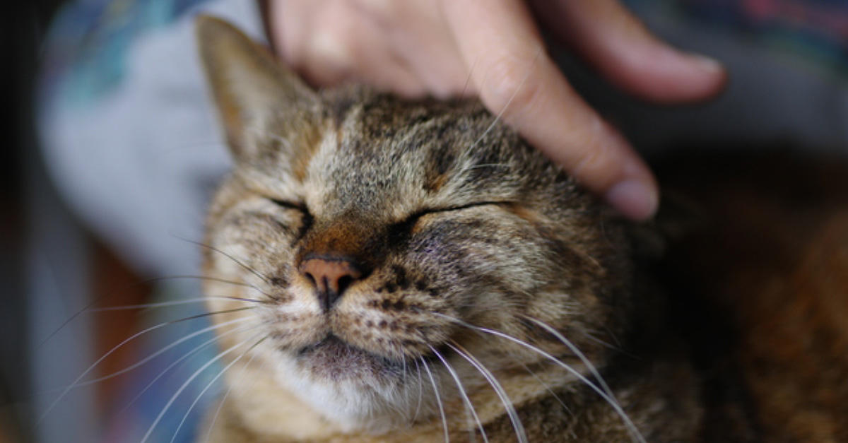 疲れたら、瞑想。