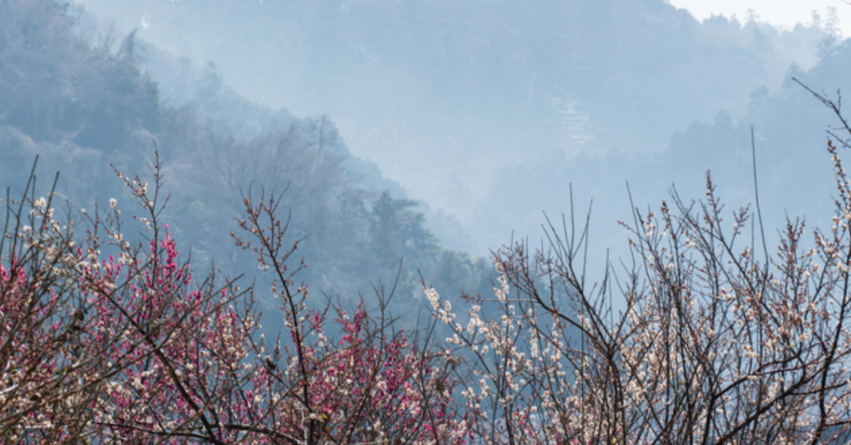 天気を読む（春編）