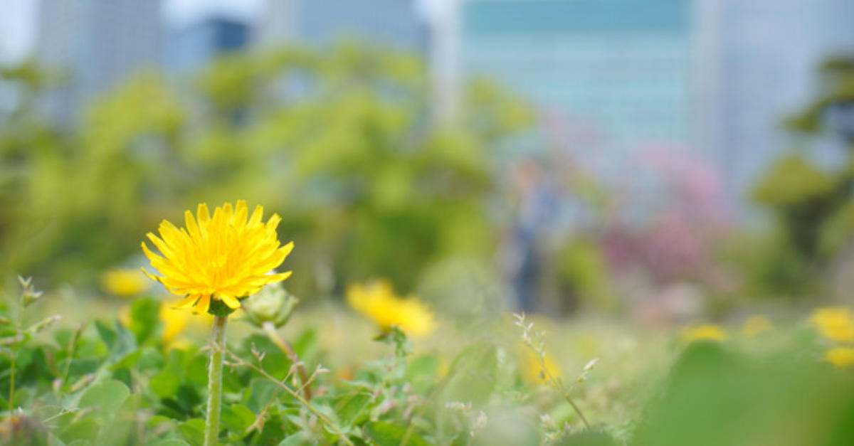 「野食」って？