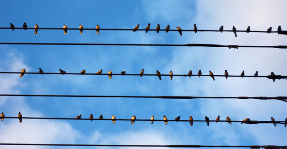 「適疎（てきそ）」とは？