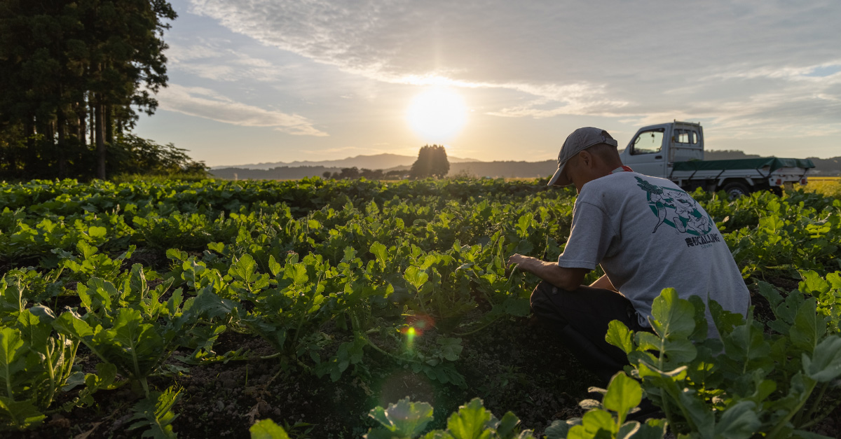 未来へ、種をつなぐ
