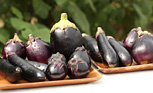旬を味わう ―秋茄子―