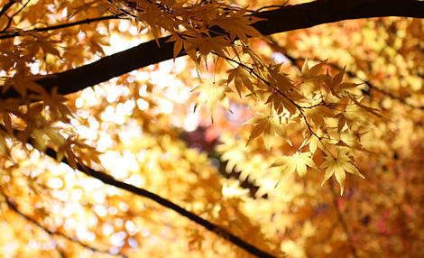 瞑想してみよう