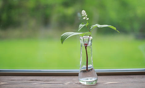 ミニマルライフ