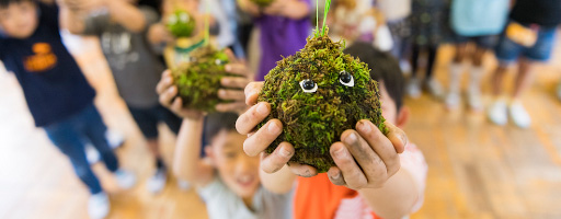 与苔藓球连结的事物