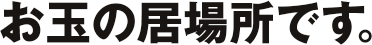 お玉の居場所です。