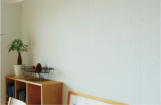 壁・天井　塗装／躯体現し